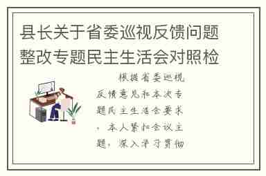 县长关于省委巡视反馈问题整改专题民主生活会对照检查材料