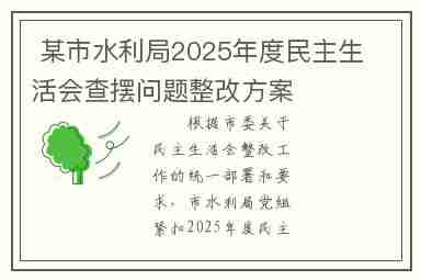 某市水利局2025年度民主生活会查摆问题整改方案
