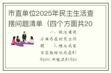 市直单位2025年民主生活查摆问题清单（四个方面共20条）