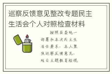 巡察反馈意见整改专题民主生活会个人对照检查材料
