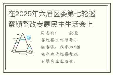在2025年六届区委第七轮巡察镇整改专题民主生活会上的讲话