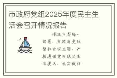 市政府党组2025年度民主生活会召开情况报告