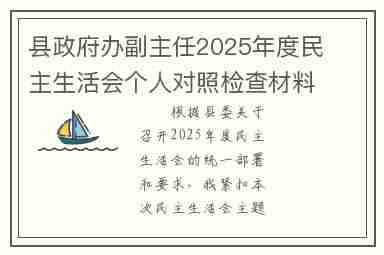 县政府办副主任2025年度民主生活会个人对照检查材料(带案例)