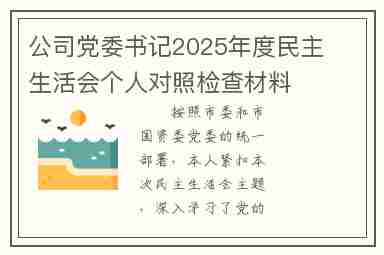 公司党委书记2025年度民主生活会个人对照检查材料