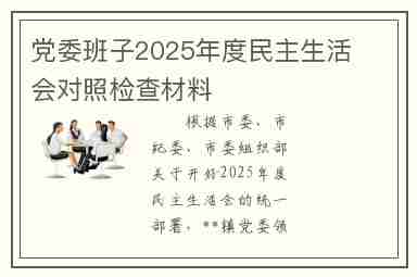 党委班子2025年度民主生活会对照检查材料