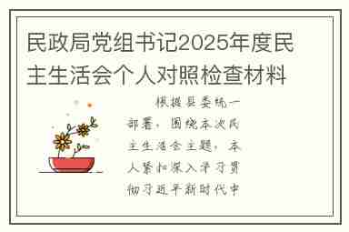 民政局党组书记2025年度民主生活会个人对照检查材料(五个带头)