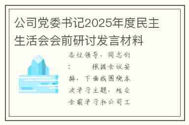 公司党委书记2025年度民主生活会会前研讨发言材料