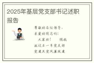 2025年基层党支部书记述职报告