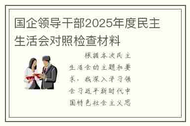 国企领导干部2025年度民主生活会对照检查材料