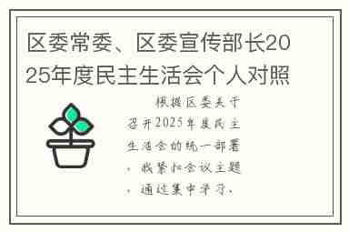 区委常委、区委宣传部长2025年度民主生活会个人对照检查材料