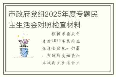 市政府党组2025年度专题民主生活会对照检查材料