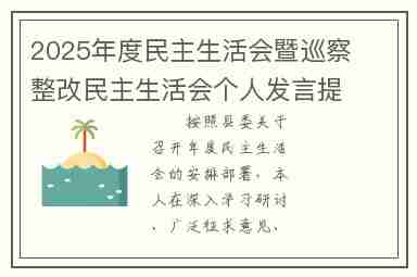 2025年度民主生活会暨巡察整改民主生活会个人发言提纲