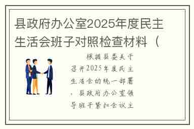县政府办公室2025年度民主生活会班子对照检查材料（五个带头）