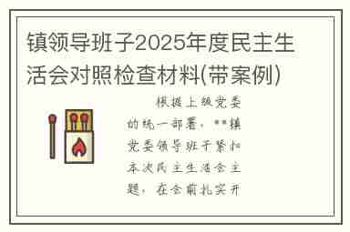 镇领导班子2025年度民主生活会对照检查材料(带案例)