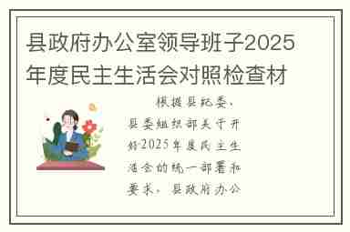 县政府办公室领导班子2025年度民主生活会对照检查材料