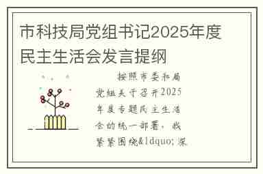 市科技局党组书记2025年度民主生活会发言提纲
