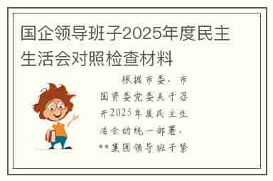 国企领导班子2025年度民主生活会对照检查材料