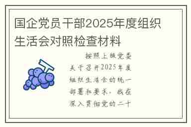 国企党员干部2025年度组织生活会对照检查材料