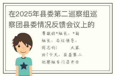 在2025年县委第二巡察组巡察团县委情况反馈会议上的表态讲话