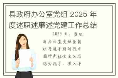 县政府办公室党组 2025 年度述职述廉述党建工作总结