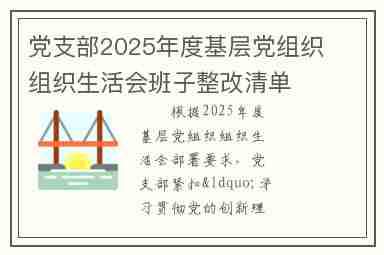 党支部2025年度基层党组织组织生活会班子整改清单