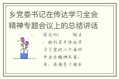 乡党委书记在传达学习全会精神专题会议上的总结讲话