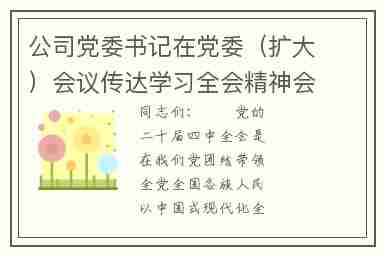 公司党委书记在党委（扩大）会议传达学习全会精神会议上的讲话