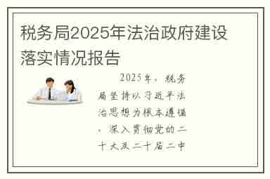 税务局2025年法治政府建设落实情况报告