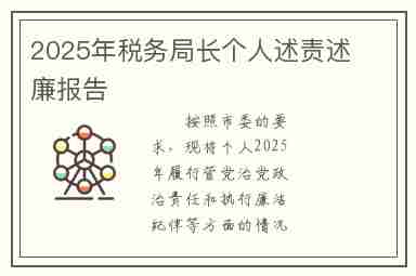 2025年税务局长个人述责述廉报告
