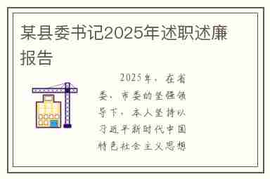 某县委书记2025年述职述廉报告