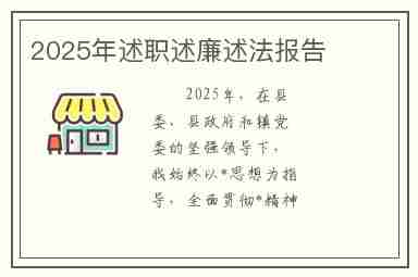 2025年述职述廉述法报告