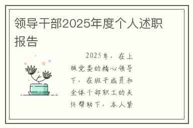 领导干部2025年度个人述职报告