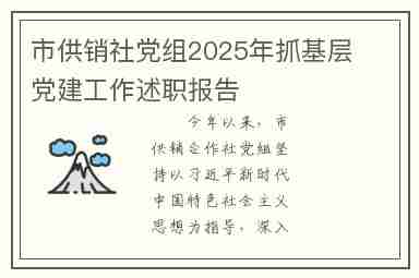 市供销社党组2025年抓基层党建工作述职报告