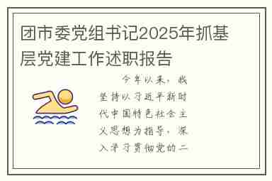 团市委党组书记2025年抓基层党建工作述职报告