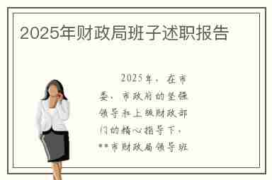 2025年财政局班子述职报告