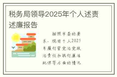 税务局领导2025年个人述责述廉报告