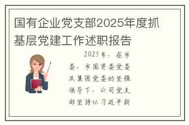 国有企业党支部2025年度抓基层党建工作述职报告